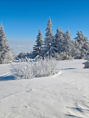 Landscape of Vitosha Mountain, Bulgaria
