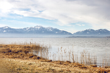View over reeds towards the Chiemsee and snow covered mountains in early spring atmosphere