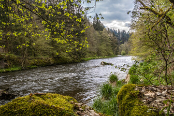 River Ilz near Kalteneck by Hutthurm, Lower Bavaria, surrounded by forest and hiking trail in spring