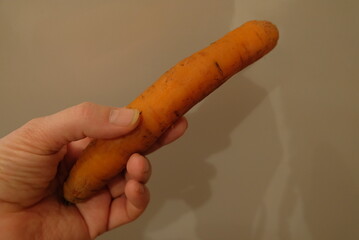 various vegetables on a white background and plate tomatoes cucumbers shown twisting products in a circle healthy eating