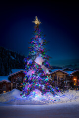 Christmas Tree at Sun Peaks British Columbia
