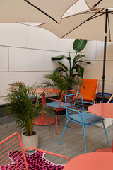 A Vibrant Outdoor Space Filled with Colorful Furniture, Relaxing Tropical Plants, and Life