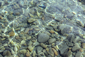 Lit du lac Léman à travers l’eau claire
