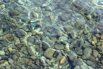 Lit du lac Léman à travers l’eau claire