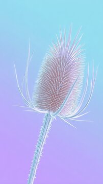 Detailed image of a teasel plant with a gradient background.