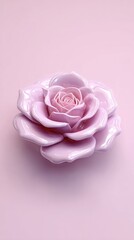 Elegant Pink Rose - A Delicate Floral Beauty.
