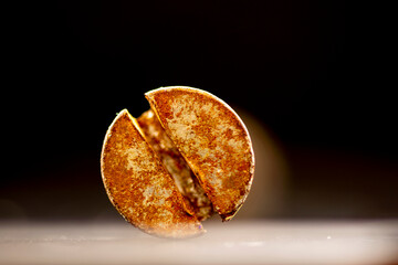 Close-up of Rusty Screw Head Macro