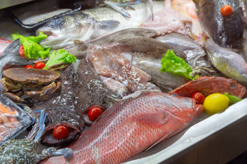 Variety of fish and seafood in a fish shop window