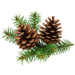 Fototapeta premium Pinecones Among Pine Needles – Symbol of Nature, Rustic Charm, and Seasonal Beauty