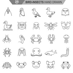 Hand Drawn Bird and Insect Vector Line Art Set
