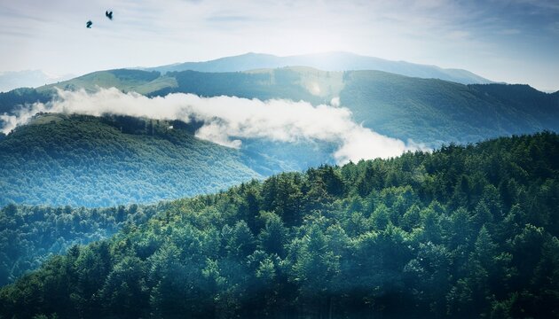 Double Exposure Stock