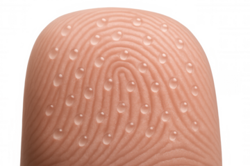 Wet fingerprint macro showing biometric security, identity, and personal authentication, transparent background