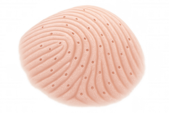 Human fingertip showing fingerprint ridges and pores representing biometric identification and security concept