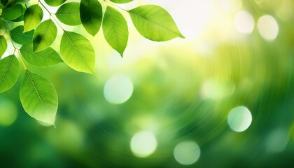 Green Leaf Background Blurred Leaves And Circular Bokeh Abstract Wallpaper For Backdrop And Design