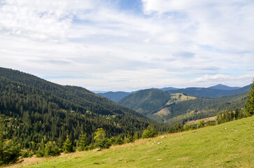 Beautiful mountain scenery showcasing green forests, rolling meadows, and distant peaks under a cloudy yet sunny sky, evoking a sense of peace, serenity, and natural beauty. Carpathian Mountains