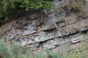 Forest-covered rocky slope with conifer trees