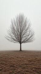 Fototapeta premium Hyperrealistic scene of a solitary tree standing in a foggy meadow with soft sunrise light, evoking tranquility, solitude, and atmospheric morning beauty.
