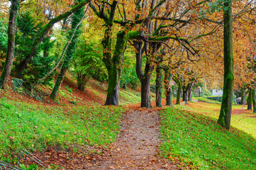 A tree lined area of the 3.7 mile lakeside path around Lake Bled at early autumn, in Bled Slovenia.