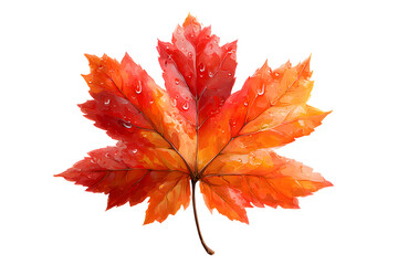 Fototapeta premium Maple autumn leaf PNG illustration with transparent background, perfect for seasonal designs, fall-themed projects, nature-inspired artworks, and decorative elements