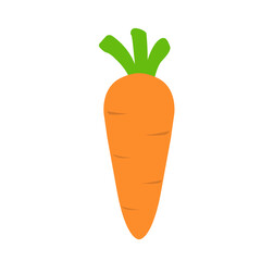 Carrot Illustration