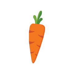 Carrot Illustration