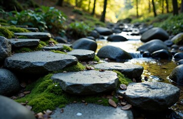 Naklejka premium A peaceful stream flows over moss-covered rocks in a lush forest setting