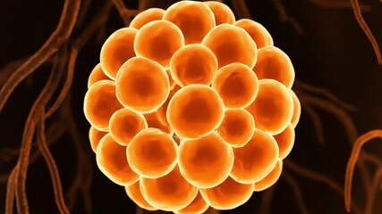 Cell Biology Medical Animation Microscopic View of Microorganism Growth in Human Body 3D Rendered Model for Education - Powered by Adobe