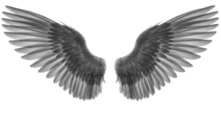Realistic black wings with detailed feathers isolated on white background, perfect for fantasy, cosplay, and artistic projects