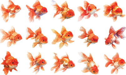 Watercolor Goldfish Clipart Set