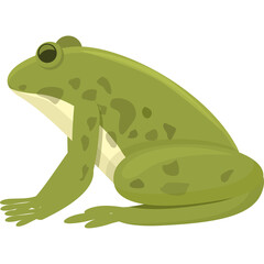 A green frog with dark spots sits facing left against a plain white background with a transparent background effect