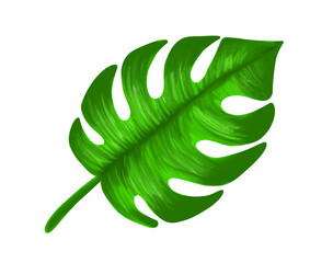 fresh green leaf