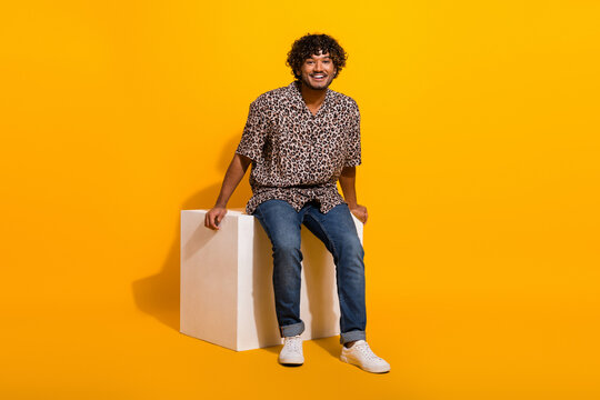 Funny man in casual leopard print shirt sitting on cube against vibrant yellow background showing cheerful attitude