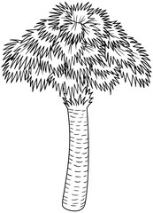 Sabal Palm Tree Vector Outline Line Art Drawing
