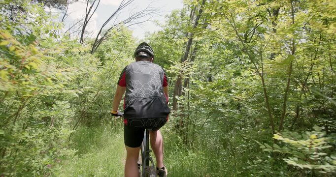 A man riding a bike through a lush green forest. Mountain biker in nature. Back view. Recorded at 120 fps on cinema camera.