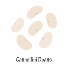 Hand Drawn Cannellini Beans Illustration