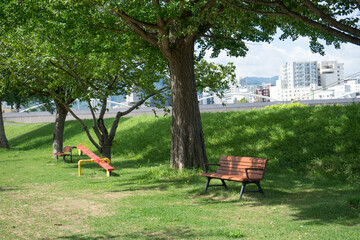 川の傍の緑の公園