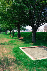 川の傍の緑の公園