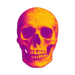 Obraz premium PNG Vibrant skull illustration design