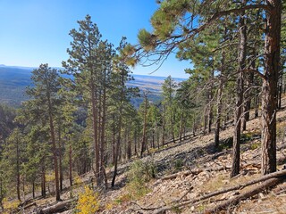autumn in the mountains