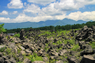 Fototapeta premium 鬼押出し園
