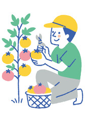 A farmer working in a tomato field_color
