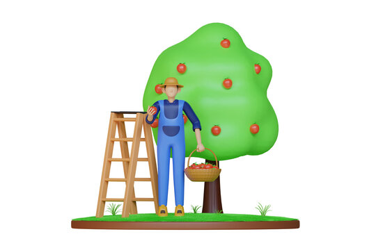 Farmer In Blue Overalls Wearing Straw Hat Collecting Ripe Red Apples Into Basket Next To Ladder And Green Tree On Transparent Background 3D Render