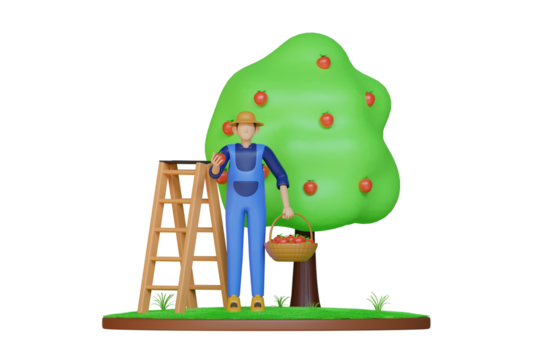 Farmer In Blue Overalls Wearing Straw Hat Collecting Ripe Red Apples Into Basket Next To Ladder And Green Tree On Transparent Background 3D Render