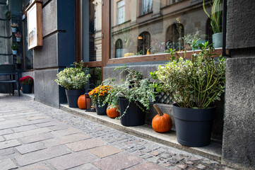 Obraz premium Preparing for Halloween, autumn design of city streets