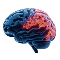 Blue brain with glowing orange circuit board patterns