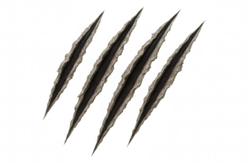 Claw marks ripping through surface, showing aggression, damage, and struggle with transparent background