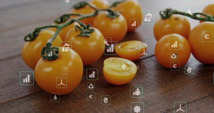 Displaying yellow cherry tomatoes on green vine with halved tomato on wooden tabletop, data icons