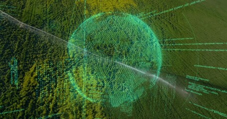 Fototapeta premium Hovering holographic data sphere above high-altitude forest canopy, with streaming computer code