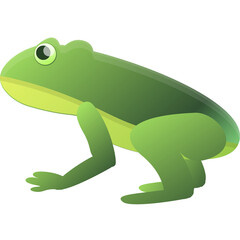 Green frog with a transparent background isolated on white studio background full body shot profile view