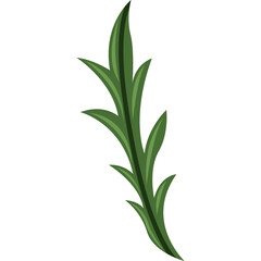 Green leafy stem with pointed leaves isolated on a transparent background, elegant botanical illustration